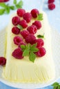 Lemon Semifreddo Royalty Free Stock Photo