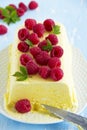 Lemon Semifreddo Royalty Free Stock Photo