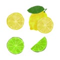 Lemon set watercolor,green and yellow Royalty Free Stock Photo