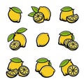 Lemon set. Collection icon lemons. Vector