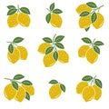 Lemon set. Collection icon lemons. Vector