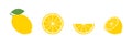 Lemon set flat icon on white background. Isolated vector