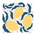 Lemon set. Vector hand drawn citrus fruits, leaves and flowers. Cartoon illustration in simple flat scandinavian style Royalty Free Stock Photo