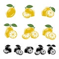 Lemon set. Vector Royalty Free Stock Photo