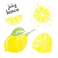 Lemon set. Vector watercolor collection of fresh lemons Royalty Free Stock Photo