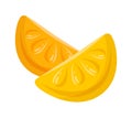 Lemon-shaped cute lobule candy on a stick on white background