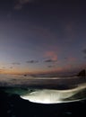 Lemon Sharks in Sunset