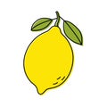 Lemon sketch. Citrus fruit with leaf. Color food icon. Vector illustration