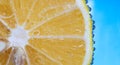 Lemon slice in Bubbly Water on blue background Royalty Free Stock Photo