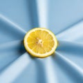 Provides a soft contrast to the citrus, emphasizing its bright Royalty Free Stock Photo