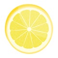 Lemon slice. Citrus fruit. Isolated on white. Vector illustration