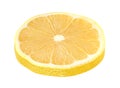 Lemon slice cut round yellow isolated on white background with clipping path Royalty Free Stock Photo