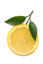 Lemon slice with fresh leaves Royalty Free Stock Photo