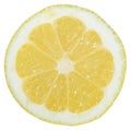 Lemon slice fruit sliced isolated on white