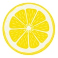 Lemon Slice Isolated