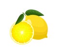 Lemon and slice with leaves and halved in cut, flat style vector illustration isolated on white background Royalty Free Stock Photo