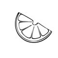 Lemon slice vector illustration Royalty Free Stock Photo