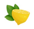 Lemon slice vector illustration on white background. Fresh sour lemon icon. Logo design Royalty Free Stock Photo