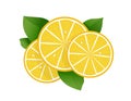 Lemon slice vector illustration on white background. Fresh sour lemon icon. Logo design Royalty Free Stock Photo