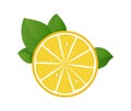 Lemon slice vector illustration on white background. Fresh sour lemon icon. Logo design Royalty Free Stock Photo