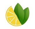 Lemon slice vector illustration on white background. Fresh sour lemon icon. Logo design Royalty Free Stock Photo