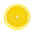 Lemon slice on white Royalty Free Stock Photo