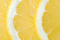 Lemon sliced macro