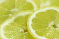 Lemon Slices Royalty Free Stock Photo