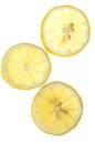 Lemon slices Royalty Free Stock Photo