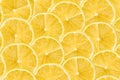 Lemon Slices Abstract Seamless Pattern