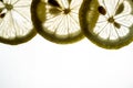 Lemon slices close up ,background