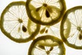 Lemon slices close up ,background