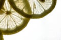 Lemon slices close up ,background