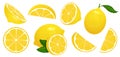 Lemon slices. Fresh citrus, half sliced lemons and chopped lemon isolated cartoon vector illustration set