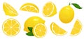 Lemon slices. Fresh citrus, half sliced lemons and chopped lemon isolated cartoon vector illustration set Royalty Free Stock Photo