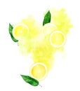 Lemon slices with fresh mint for lemonade splash on white backgr Royalty Free Stock Photo