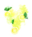 Lemon slices with fresh mint for lemonade splash on white backgr Royalty Free Stock Photo