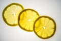 Lemon slices highlighted from below Royalty Free Stock Photo