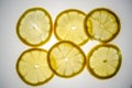 Lemon slices highlighted from below Royalty Free Stock Photo