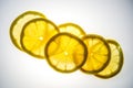 Lemon slices highlighted from below Royalty Free Stock Photo
