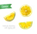 Lemon slices isolated watercolor illustration