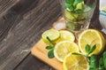 Lemon slices, mint leaves and ice cubes