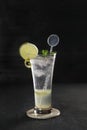 Lemon slush in tall glass with fruit and crushed ice around it on white table with  background. Front view. Horizontal Royalty Free Stock Photo