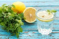 Lemon soda mint fresh drink summer still life blue background Royalty Free Stock Photo