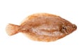 Lemon sole fish