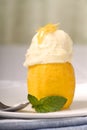 Lemon sorbet with mint