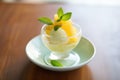 lemon sorbet sundae with fresh mint leaves