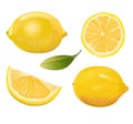 Lemon. Sour citrus fruit. Yellow southern fruit. Isolated object. Vector illustration