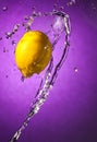 Lemon Splash on Purple Royalty Free Stock Photo