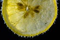 Lemon with a splash slice Royalty Free Stock Photo